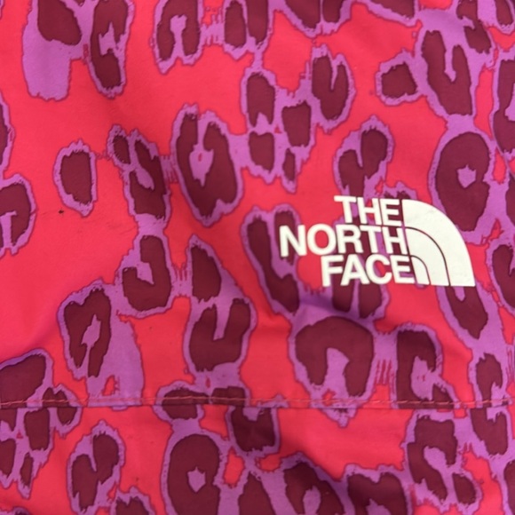 Girls pink and purple leopard Freedom Insulated Bib snowpants. Size 5t - Picture 2 of 7